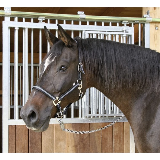 Mustang kötőfék, 3, Többszínű (fekete, ezüst)