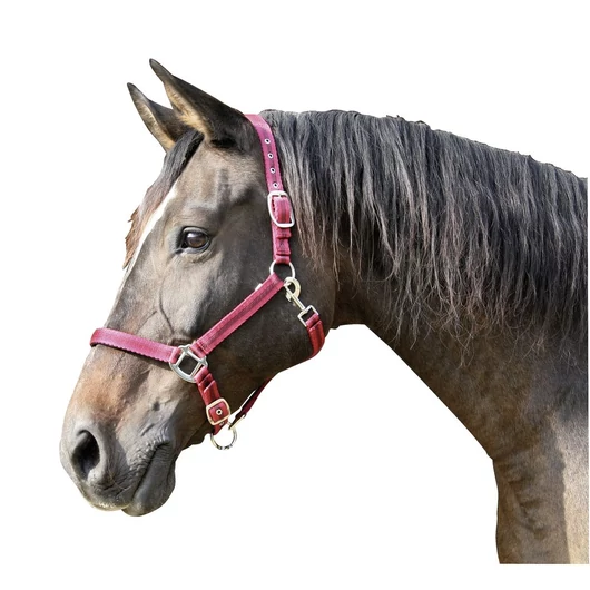 Mustang kötőfék, 3, piros, fekete