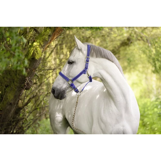 Mustang kötőfék, 3, kék, fekete